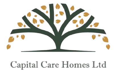 Ael-Y-Bryn Care Home logo